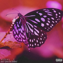 Options (feat. Sendflowrs) Jacky B