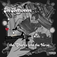 In Between the Chorus & the Verse (feat. Holly Rix) - Single - Triz Nathaniel