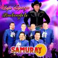 Bailándole
