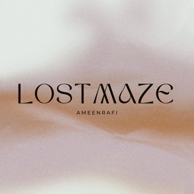 Lost Maze - Single
