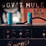 Gov't Mule & Austn Space - Black Horizon