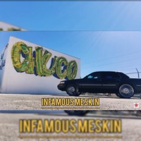 Paid In Full - Single - Infamous Meskin