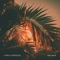 Palmae (James Garside Remix) - Chris Perkins lyrics