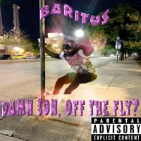 Damn Son, Off the Fly? - Single - Baritus