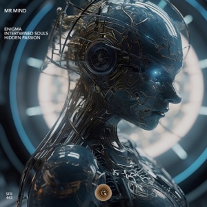 Enigma - Single