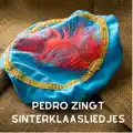 Hey Piet Pedro