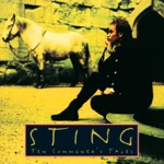 Sting - Shape of My Heart
