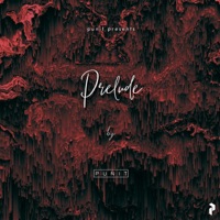 Prelude - Single - Punit Bikram Shah