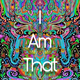 Ascension Protocol Abushady