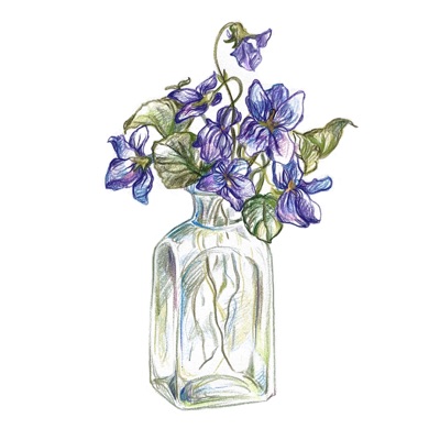 Violets - Single