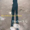DraaDo x q.