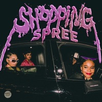 Shopping Spree - Single - Vintage Lee