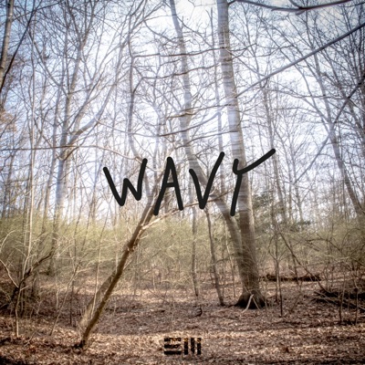 Wavy - Single