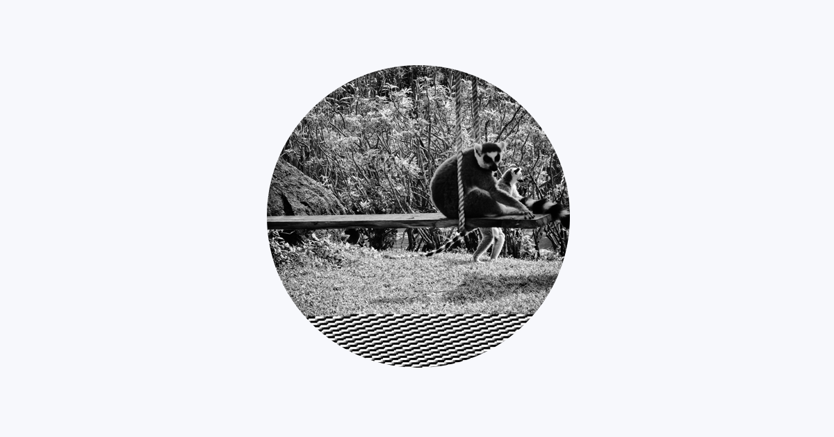 Hadley Palmer - Apple Music