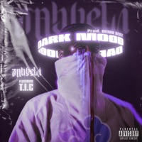 Dark Mood (feat. tominthechamber) - Single - Jahveli