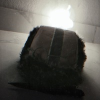 Theme Song - Single - KILLFI$h