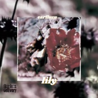 Lily - Single - Flawless Delivery & earfluvv