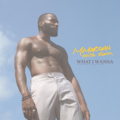 What I Wanna (MMorgan House Remix) - Single