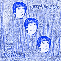 Sorry4thewaste - NotLewy