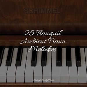 25 Tranquil Ambient Piano Melodies