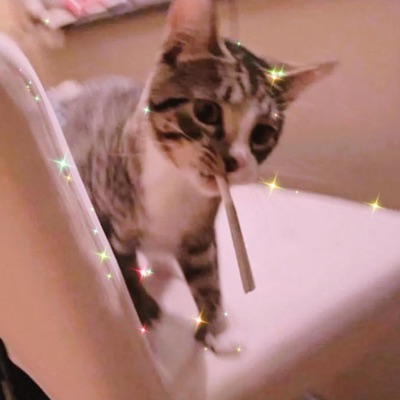 Schlechtes Gedächtnis (feat. Amirkovic777) - Single