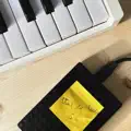 Vent du sud