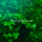Kindness - Mark Slack lyrics