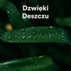 Biały Szum Relaks, Odglosy Natury & Dźwięki lasu - Burza I Padający Deszcz artwork