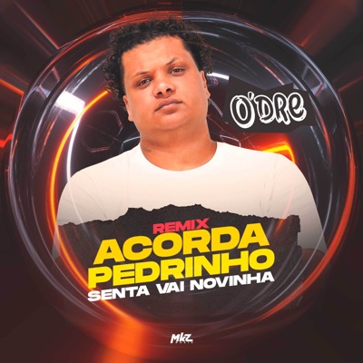 Acorda Pedrinho / Senta Vai Novinha (Remix) - Single