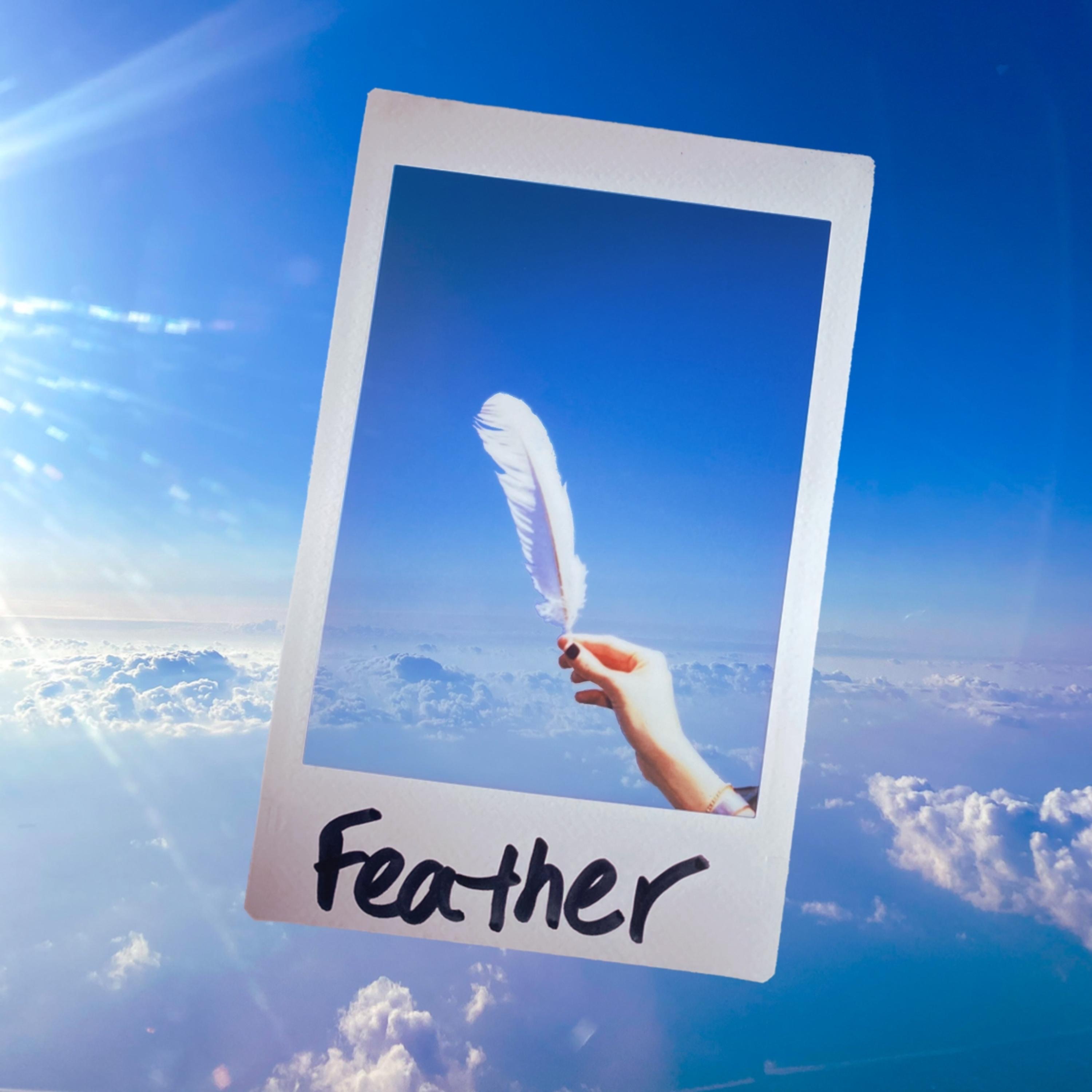 Feather - Single