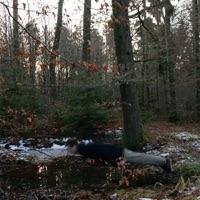 Farce - Single - Lord Folter & Wun Two