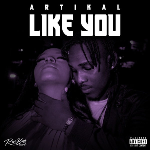 Cover of Like You - Single