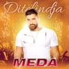 Ditelindja - Single