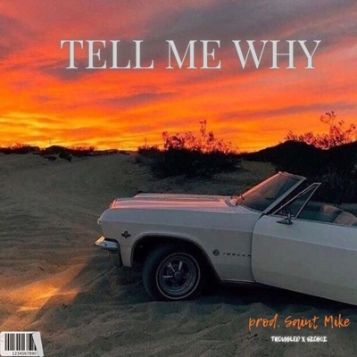 TELL ME WHY (feat. SICB0I) - Single
