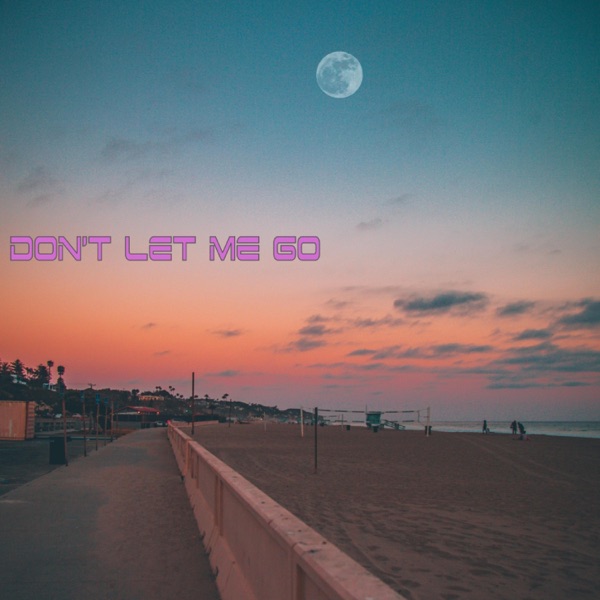 Don't Let Me Go