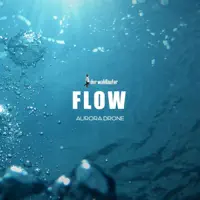 Flow — Der Waldläufer & AURORA.DRONE;Der Waldläufer;AURORA.DRONE