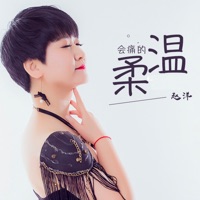 會痛的溫柔 - Single - Zhao Yang
