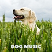 Dog Music Lullabies artwork