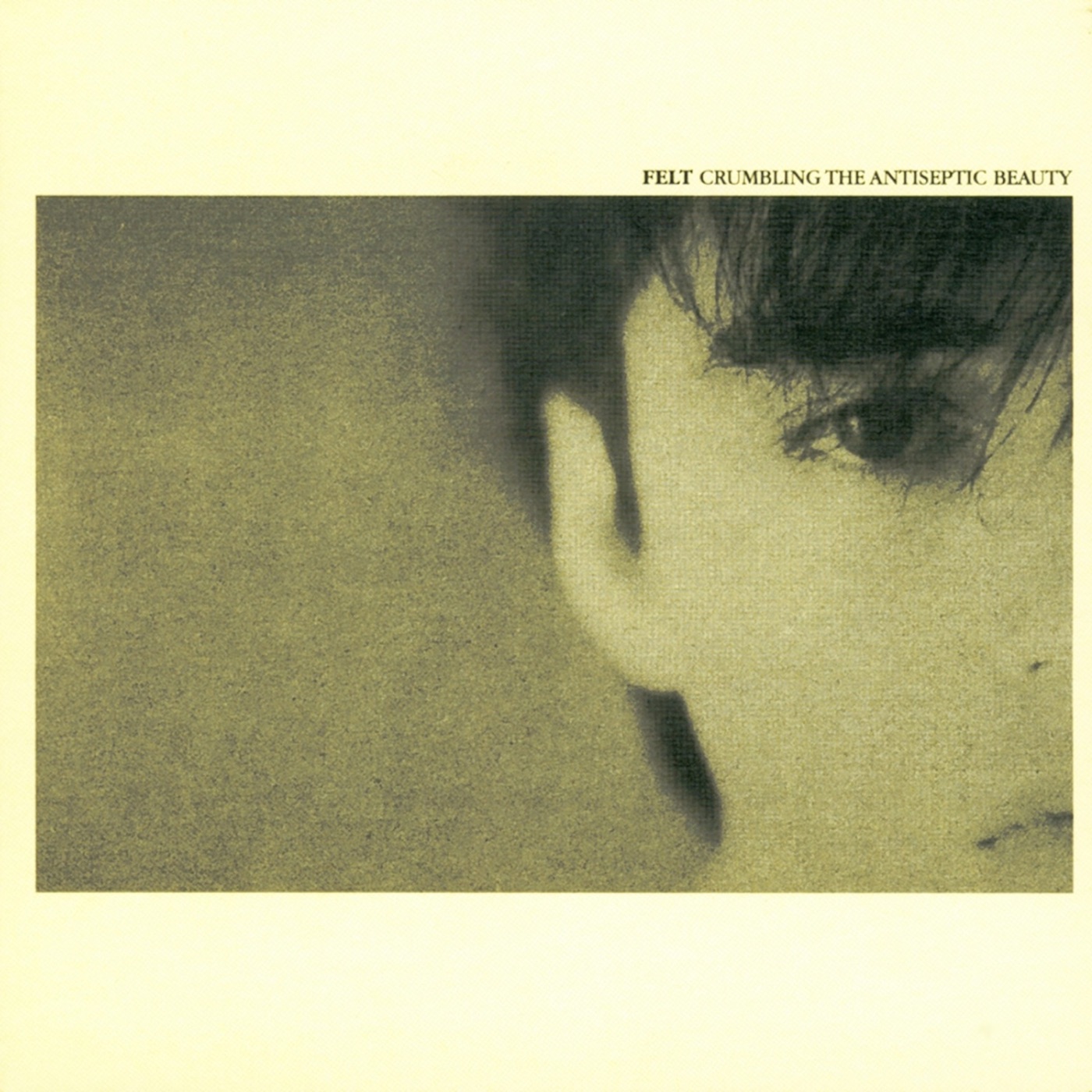 Crumbling the Antiseptic Beauty by Felt