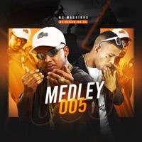 Medley 005 - Single - DJ RENAN DA BL & Mc Magrinho