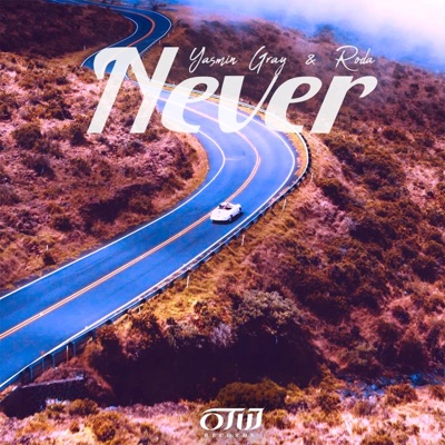 Never - Single