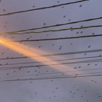 高く - Single - TOSHCHIII