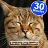 30 Minutes Smoothly Cat Purring (Comforting ASMR Cat Sound for Relaxtion, Sleep, Study and Concentration) - EP - Purring Cat Sounds