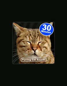 收听 Purring Cat Sounds、观看音乐视频、阅读小传、查看巡演日期等 ！