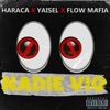 NADIE VIO (feat. Flow Mafia) - Single