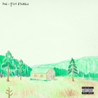 VUELO A VECES - Single - daf