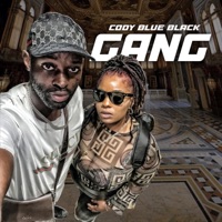Gang - Single - Cody Blue Black