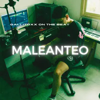 Maleanteo by Gallitoxx song reviws