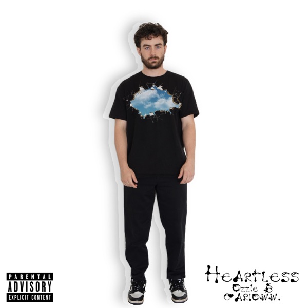 Heartless (feat. Carioww.)