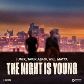 The Night Is Young artwork